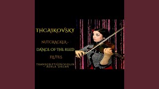 Tchaikovsky Nutcracker Dance of the Reed transposed for violins [upl. by Teodora]