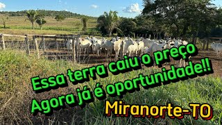 Fazenda a venda no Tocantins em MiranorteTO baixou o preço⚠️agronegociopecuaria [upl. by Steffin]