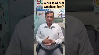 What is serum Amylase Test [upl. by Annay902]