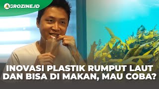 Inovasi Sintesis Bioplastik dari Rumput Laut Solusi Atasi Limbah Plastik yang Ramah Lingkungan [upl. by Tahp952]