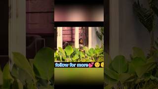 Maheroo maheroo❣️❣️youtubeshorts shortvideo trending shortsfeed [upl. by Anikehs]