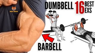 16 BEST TRICEPS WORKOUT WITH DUMBBELLS AND BARBELL AT HOME OR GYM [upl. by Ibrahim]