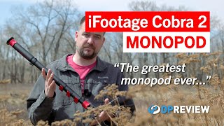 iFootage Cobra 2 LongTerm Review The Greatest Monopod In The History Of Ever [upl. by Meuser894]