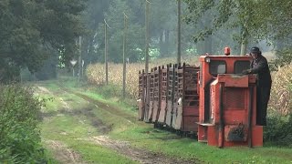 Feldbahnrefugium Lohne [upl. by Magnolia]