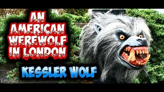 An American Werewolf in London Kessler Wolf Life Size Bust [upl. by Booze]