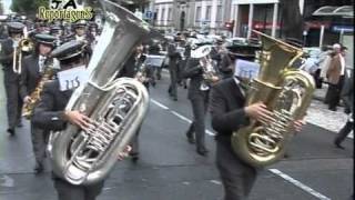 Desfile de Bandas distrito Aveiro [upl. by Alekahs]