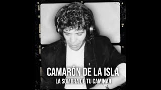 CAMARON DE LA ISLA IA la sombra de tu caminar [upl. by Myk12]