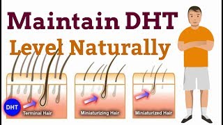 What Is DHT And How To Reduce It  Natural DHT Blockers  Hair Loss Treatment In HIndi [upl. by Kowtko]