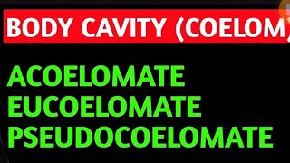 COELOM  BODY CAVITY [upl. by Leikeze]