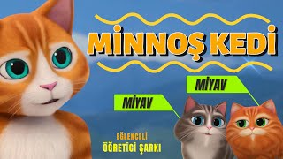 Minnoş KEDİ [upl. by Mansoor]