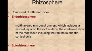 Rhizosphere [upl. by Barabbas]