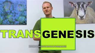 What is transgenesis all about [upl. by Mittel]