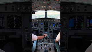 Amazing Cockpit A330 Landing ngeshortsdulu [upl. by Rratsal752]