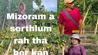 Mizoram a serthlum rah tam ber ani awm eLo en ve vek ru aw [upl. by Turrell]