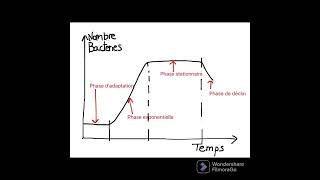 درس حول النمو البكتيري la croissance bactérienne [upl. by Meletius]