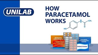 How Medicine Works Paracetamol [upl. by Yatnwahs]