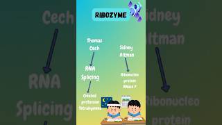 Ribozyme shorts ytshorts youtubeshorts chemistry science viralshort trending like subscribe [upl. by Merrili]