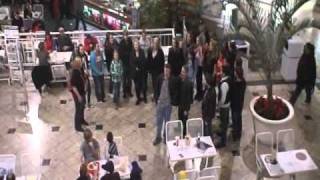 Carol of The Bells Flash Mob [upl. by Hpsoj]