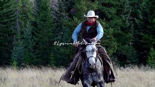 Chris Stapleton country music Garth Brooks quotShamelessquot with lyrics [upl. by Asital]