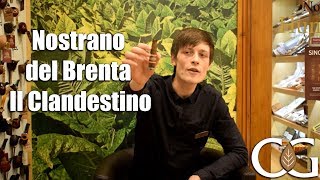 CGars Ltd Taste Test  Nostrano del Brenta Il Clandestino Cigar [upl. by Tracee256]