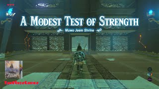 Muwo Jeem Shrine Walkthrough  The Legend of Zelda Breath of the Wild [upl. by Ronoel]