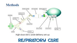 High Dose Inhaled Nitric Oxide  Denise Willis  Video abstract [upl. by Socha]