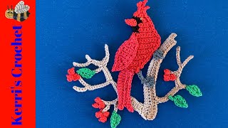 Crochet Cardinal Tutorial – Crochet Applique Tutorial [upl. by Aerehs]