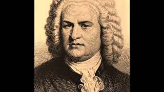 Johann Sebastian Bach  Tocata y fuga en re menor BWV 565 [upl. by Silra]