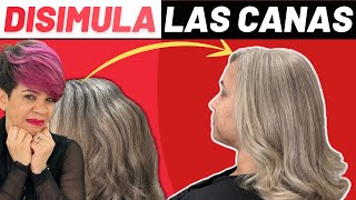 CÓMO TAPAR CANAS CON TÉCNICAS DE MECHAS by Ana Vásquez [upl. by Onder]