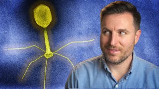 The History of Phage Therapy [upl. by Anomor490]