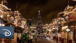 Watch How Walt Disney World Is Decorated For The Holidays [upl. by Oconnor788]