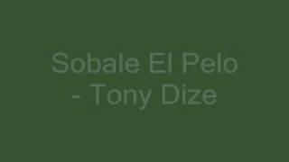 Tony Dize  Sobale El Pelo [upl. by Lida]