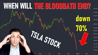 Is the Crash in Tesla Stock Reaching CAPITULATION TSLA forecast [upl. by Nonnahc]