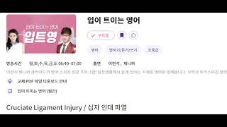 입트영 20240710 Cruciate Ligament Injury [upl. by Eidarb991]