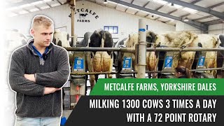 Milking 1300 Cows 3 times a day with a 72 Point Rotary  Metcalfe Farms Yorkshire Dales [upl. by Micki996]