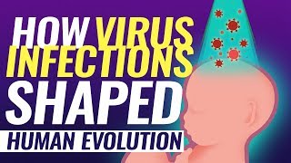 Virus DNA in human genome evolution by infection [upl. by Trin782]