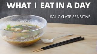 What I ate in a day  What is there to eat with Salicylate Sensitivity [upl. by Lukasz]