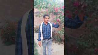 bhabran khilaya phool phool ko trending viral vidioshort ytshorts [upl. by Ainafetse]