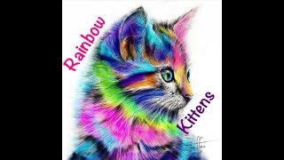 Fun Bedtime Story For Kids  Vayas Rainbow Kittens Find Joaquin [upl. by Moshe]