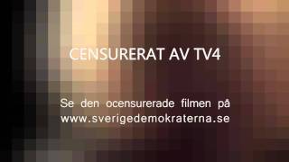 Sverigedemokraternas valfilm av TV4 censurerad version [upl. by Anehta]