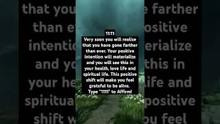 1111 Angel Number guidance of Blessing amp Healing lawofattraction manifestation affirmations [upl. by Aivatan229]