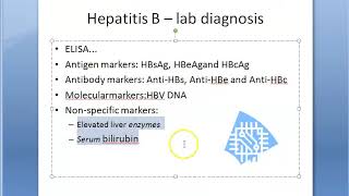 Microbiology 550 d Hepatitis B lab diagnosis HB sAg eAg HBcAg seromarkers prevention Vaccine [upl. by Kelbee59]