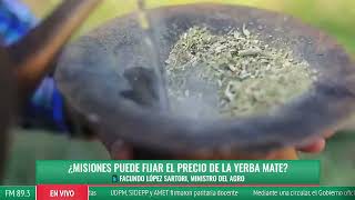 ¿Misiones puede fijar el precio de la yerba mate  Facundo López Sartori ministro del Agro [upl. by Aikehs]