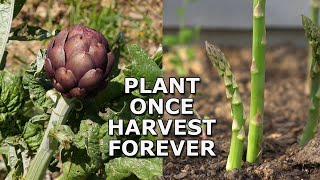 7 Perennial Vegetables You Can Grow Once and Harvest Forever [upl. by Brittani66]