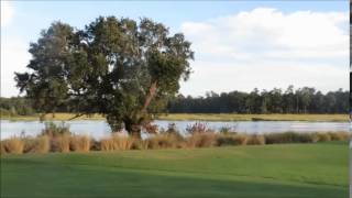 Dornoch Glen Waterway Golf Links Closing Holes amp Wildlife [upl. by Ahcurb]