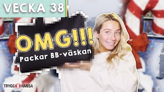 MIN NYA SKÖTVÄSKA  packar till BB  Nicci Hernestig vecka 38 [upl. by Yorgos]