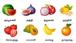 learn fruits name in tamil பழங்களின் பெயர்கள்  kids education [upl. by Mailiw773]