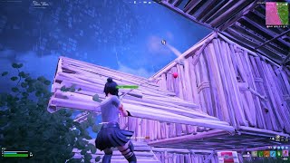 Fortnite20241119181048 [upl. by Adela]