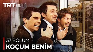 Koçum Benim 37 Bölüm [upl. by Alain449]