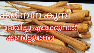 Karimbana koomb  pana kizhang pakam cheyyunnath kanampalakkad special [upl. by Anilemrac546]